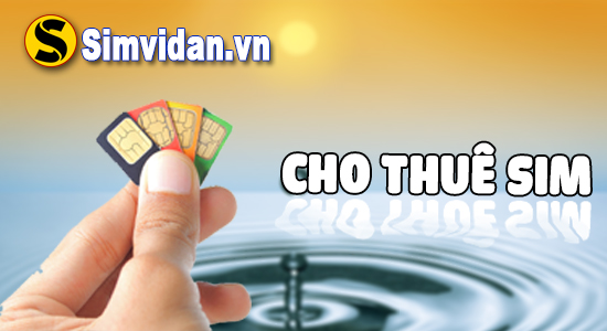 Thuê sim số đẹp - sim VIP giá rẻ, Uy tín