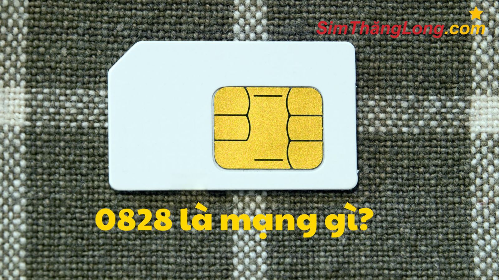 0828 là mạng gì? Tất cả thông tin về đầu số VinaPhone bạn cần biết