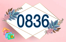 Đầu số 0836 là mạng gì? Ý nghĩa của 4 con số 0836