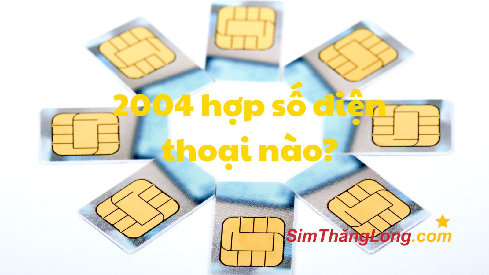 2004 Hợp Số Điện Thoại Nào? Cách Chọn Sim Chuẩn Phong Thủy Cho Người Tuổi Giáp Thân