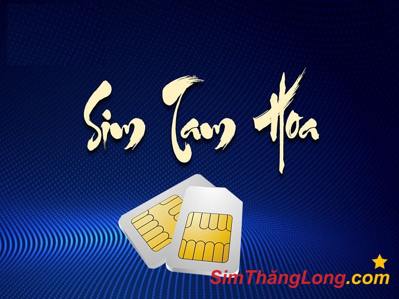 Sim tam hoa 444 có ý nghĩa tốt lành về mặt phong thuỷ