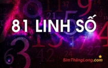Giải mã ý nghĩa 81 linh số cơ bản của cả đời người bạn