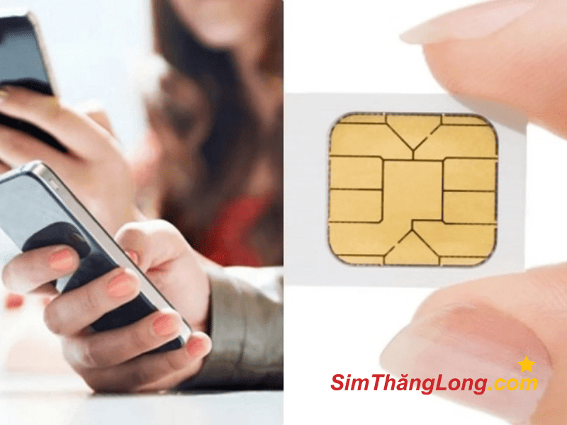 Lấy lại số điện thoại khi bị mất sim với các bước đơn giản 