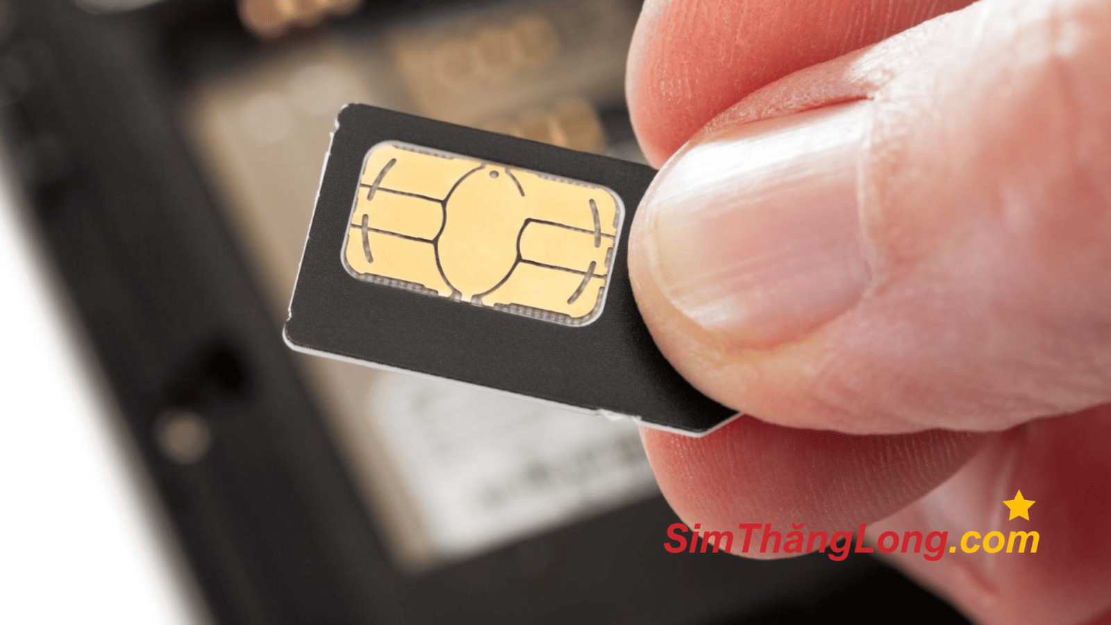 Cách lấy lại số điện thoại khi bị mất sim đơn giản, nhanh chóng