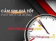 Cầm sim số đẹp online, giá cáo, lãi suất thấp trên toàn quốc