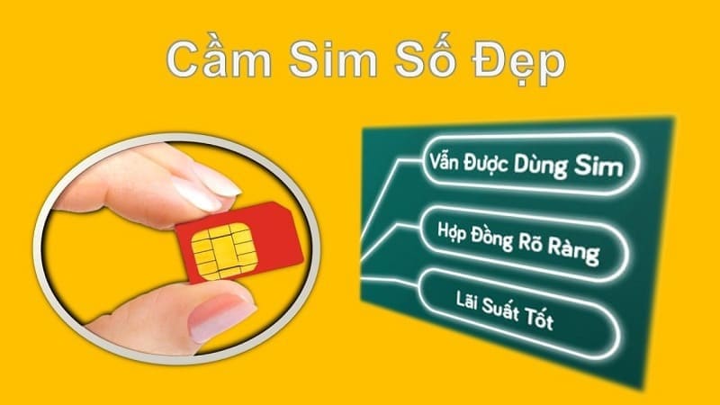 Sim Thăng Long mang đến cho khách hàng những trải nghiệm dịch vụ cầm sim TPHCM tốt nhất
