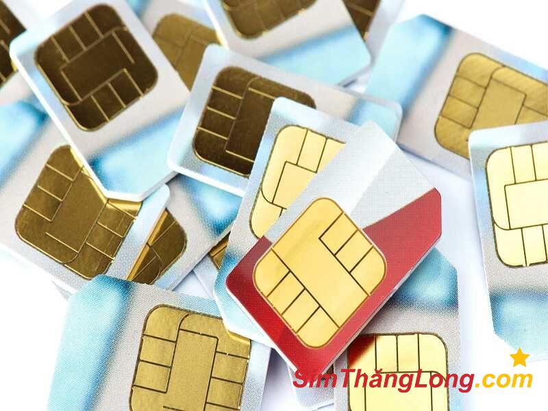 Đọc kỹ hợp đồng cho thuê sim số đẹp trước khi ký