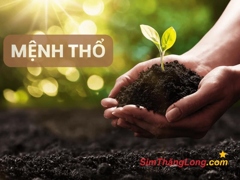 Người mệnh Thổ nổi bật với sự thực tế, kiên trì và trung thành