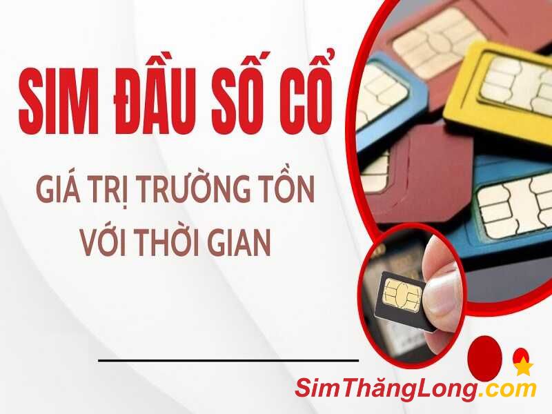 Định giá sim cao nếu dòng sim đó sở hữu đầu số cổ
