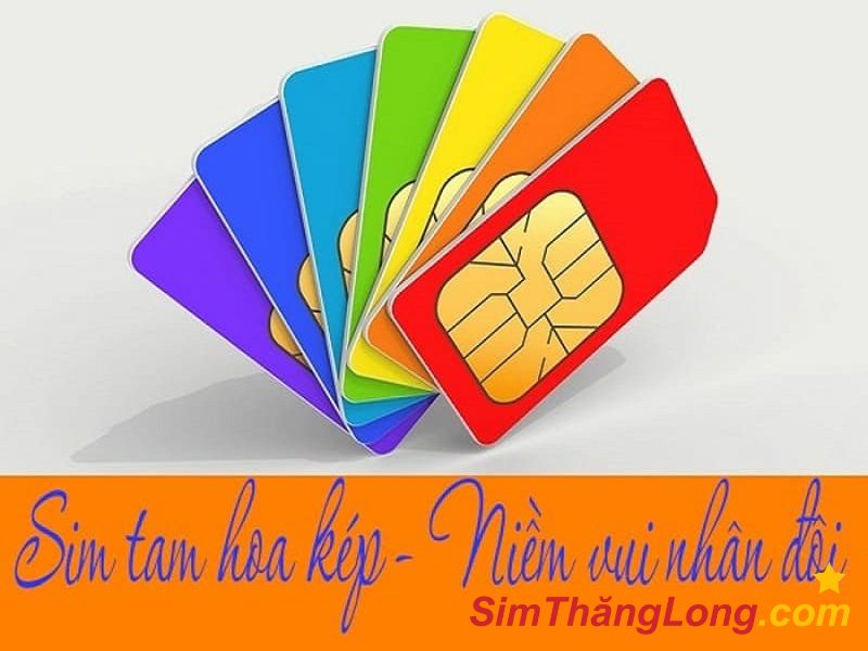Sim song tam quý có giá trị vừa phải phù hợp với doanh nghiệp