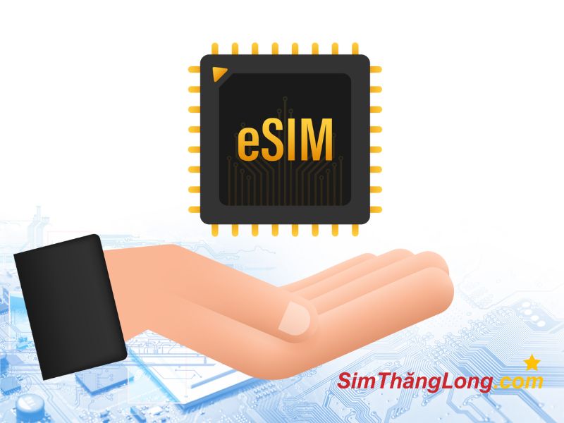 Giải thích esim là gì
