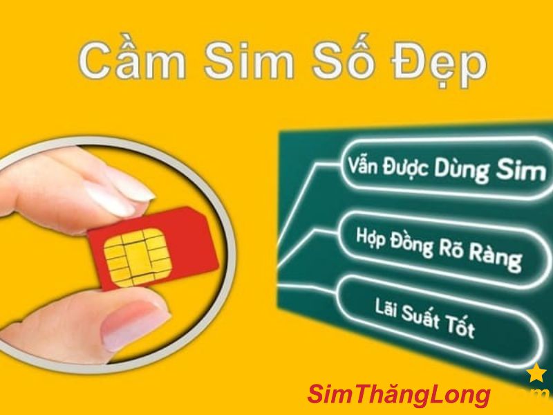 Lưu ý đến giá trị sim và số tiền được vay trong hợp đồng cầm cố sim số đẹp
