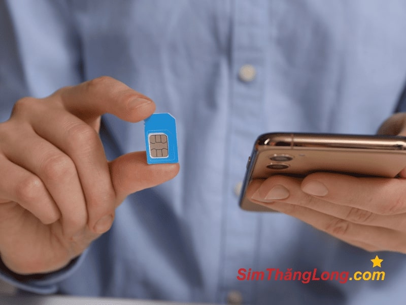 Sim bị lỗi có thể khiến cho sim không có dịch vụ trên iPhone