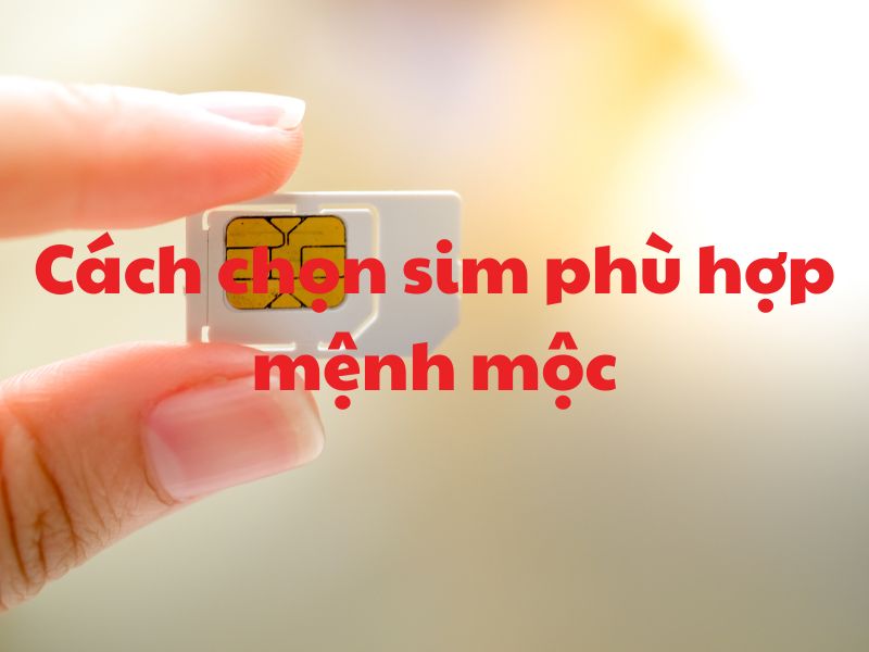 cach-chon-sim-phu-hop-menh-moc