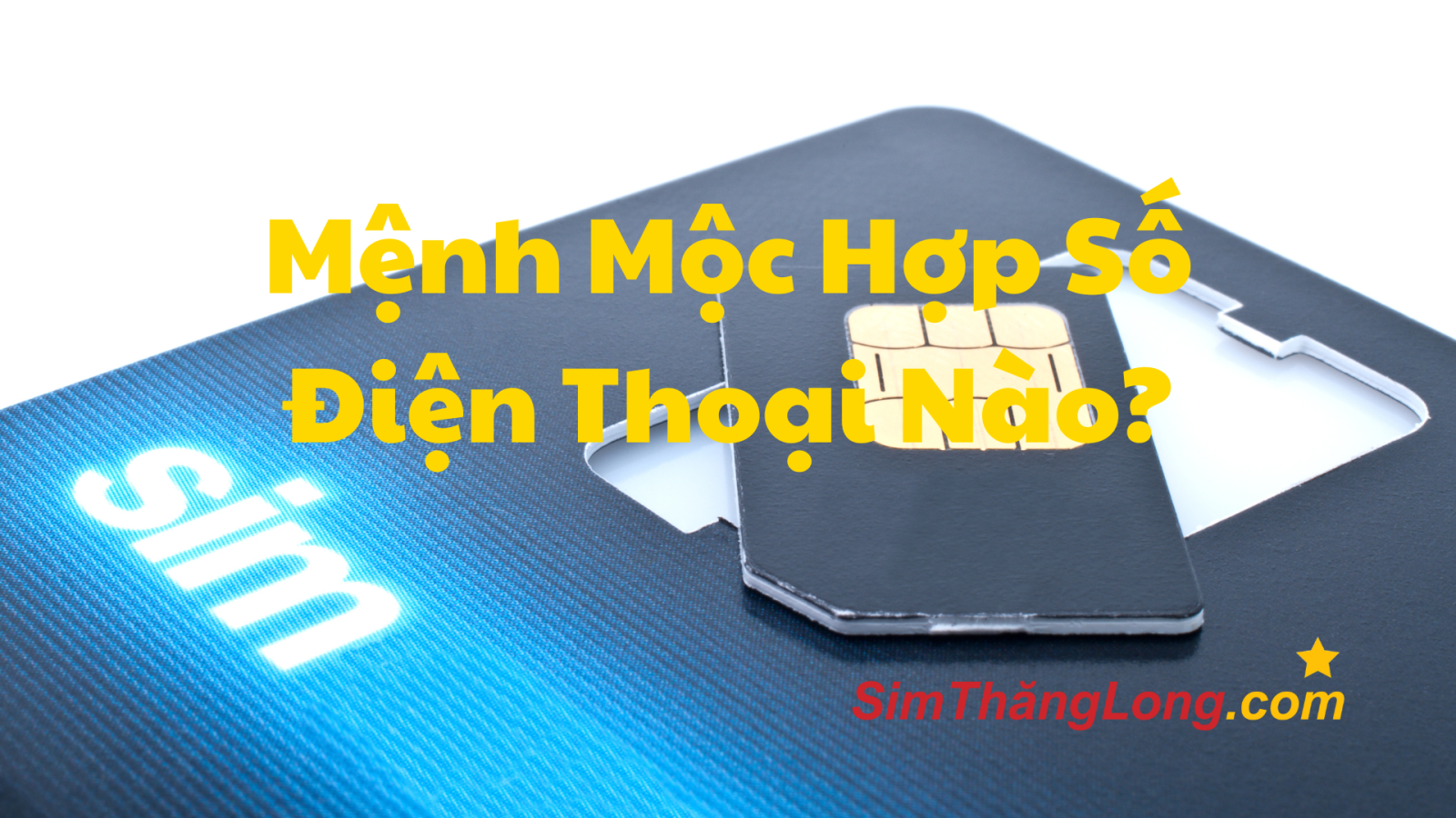 Mệnh Mộc Hợp Số Điện Thoại Nào? – Bí Quyết Chọn Sim Phong Thủy Chuẩn Xác