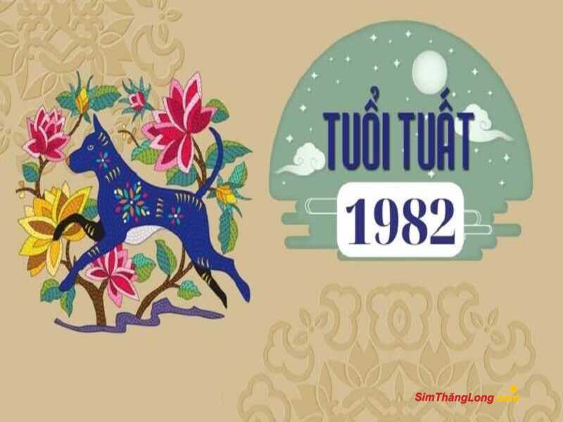 Cách chọn sim hợp tuổi 1982 theo số quái không quá phổ biến