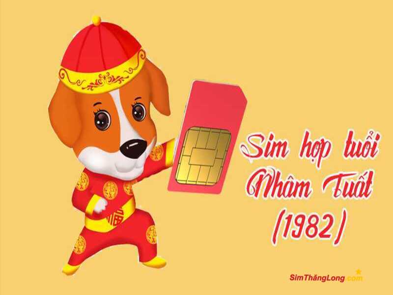 Mua sim hợp tuổi 1982 đảm bảo âm dương hài hoà