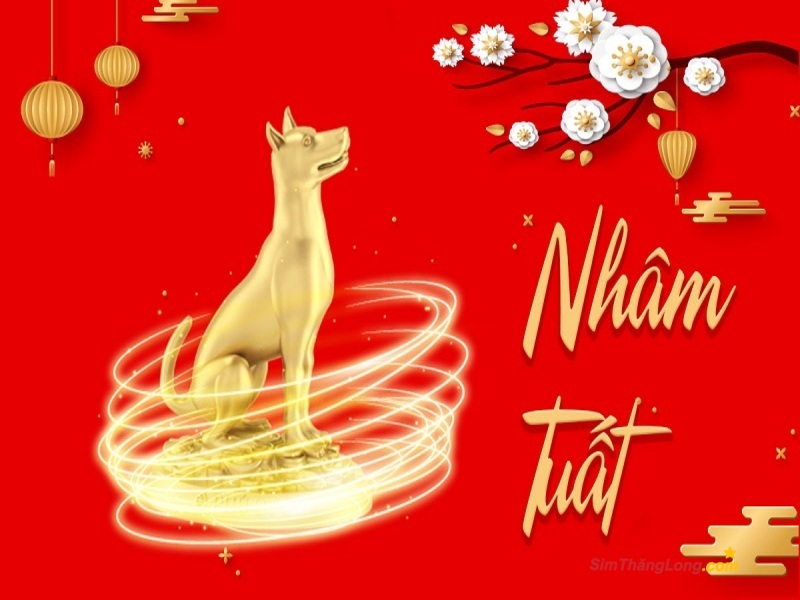 Mua sim hợp tuổi 1982 dựa theo con số không hoàn toàn chính xác