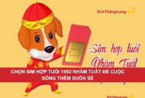 Hướng dẫn cách chọn sim hợp tuổi 1982 cập nhật 2025
