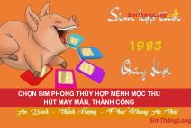 Cách chọn sim hợp tuổi 1983 Quý Hợi cập nhật 2025