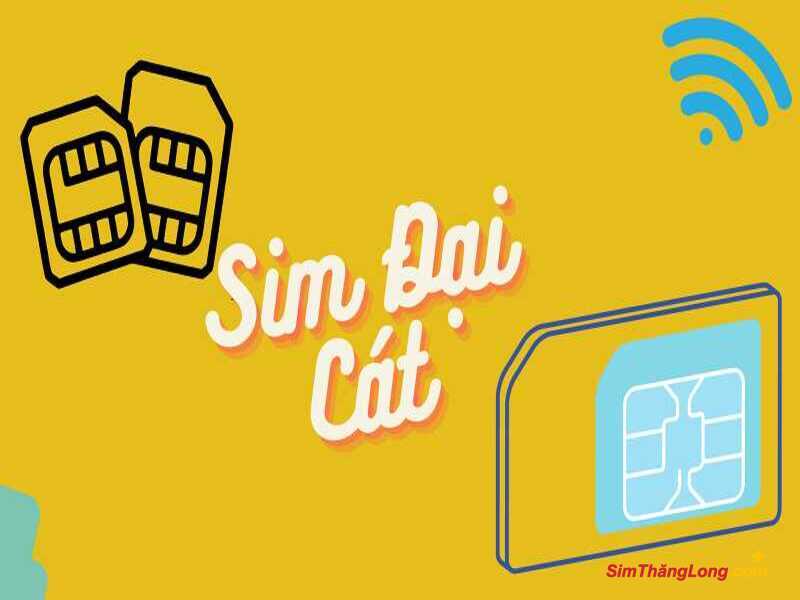 Mua sim hợp tuổi 1984 cho nữ thiên về gia đạo và tình duyên