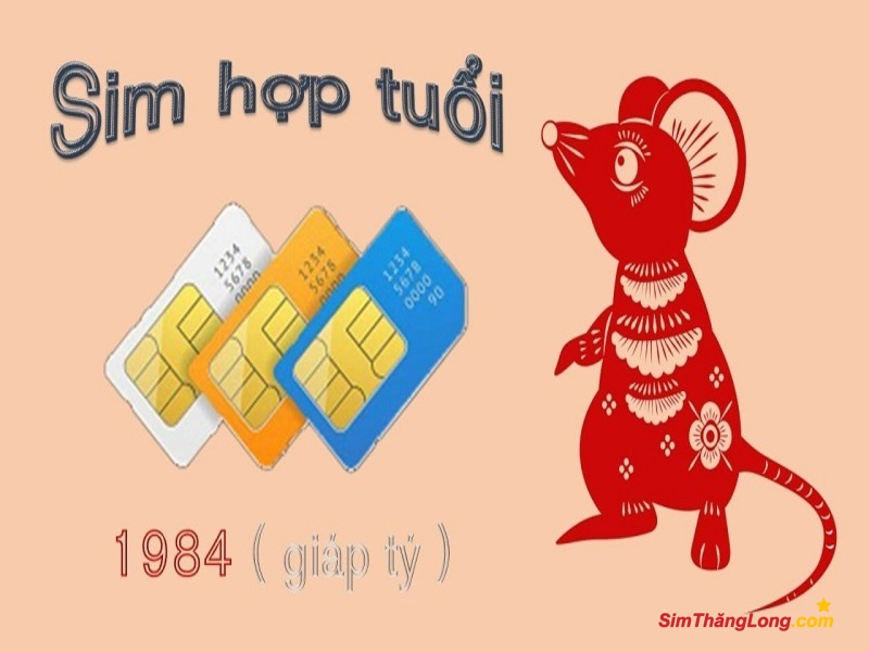 Mua sim hợp tuổi 1984 theo ngũ hành khá chính xác