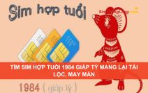 Tìm sim hợp tuổi 1984 Giáp Tý mang lại tài lộc, may mắn