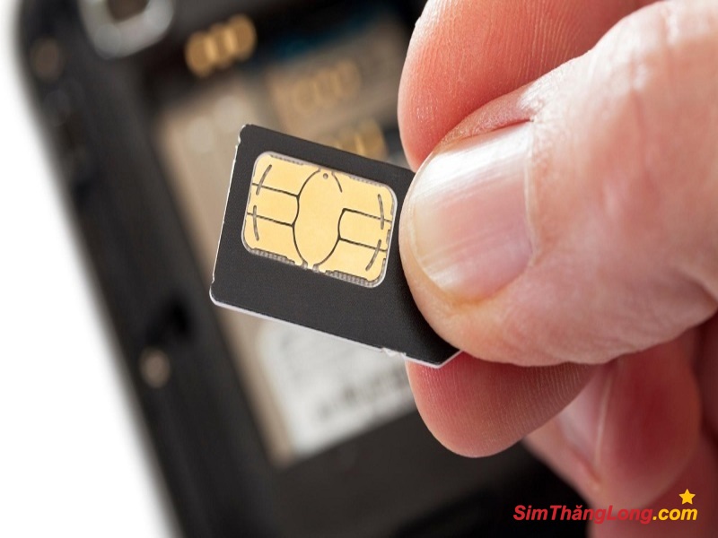 Chọn sim hợp tuổi 1986 cho nữ giúp phù trợ về công việc và tình duyên