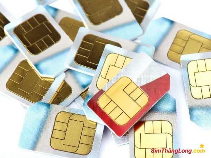Sử dụng sim hợp tuổi 1986 có ý nghĩa rất quan trọng