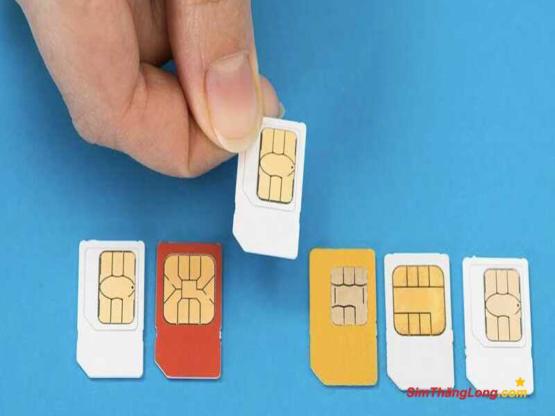 Từ quan niệm dân gian giúp bạn dễ dàng tìm sim hợp tuổi 1988