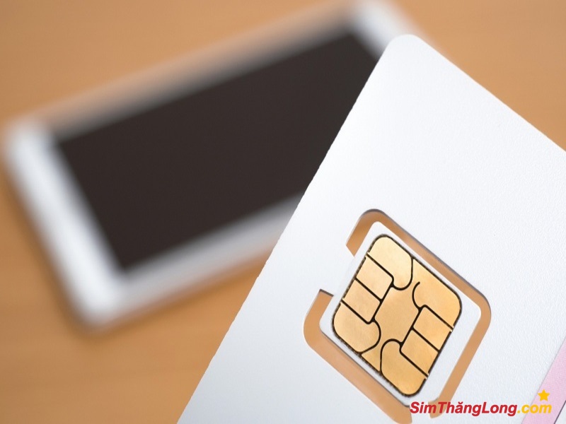 Chọn sim hợp tuổi 1989 bình an nên thuộc quẻ Cát