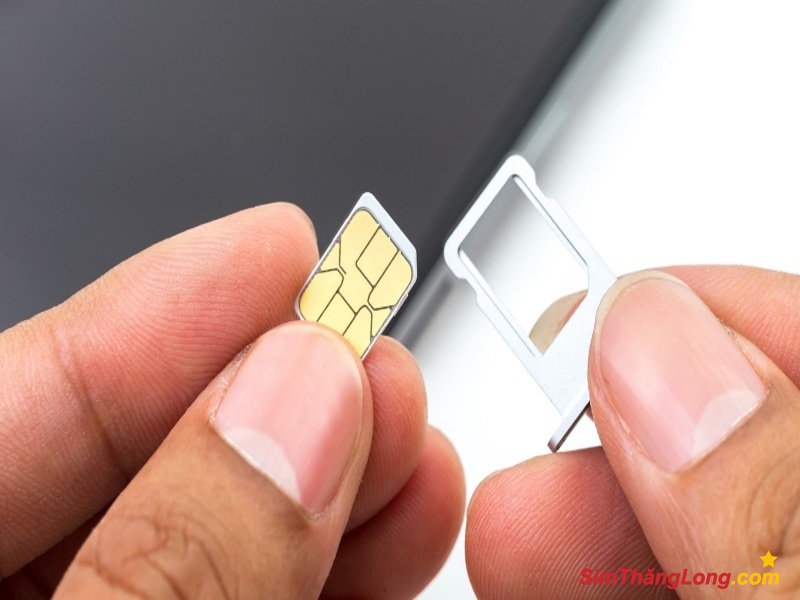 Luận sim hợp tuổi Kỷ Tỵ theo kinh dịch độ chính xác cao