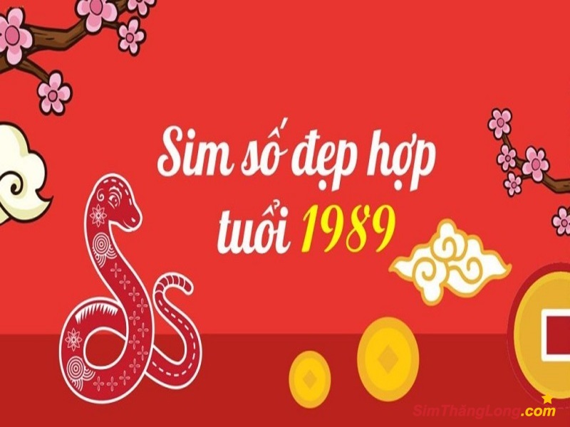Sim hợp tuổi 1989 như một lá bùa may mắn trong phong thuỷ