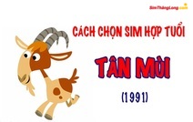 Chọn sim hợp tuổi 1991 Tân Mùi hợp phong thủy, hút tài lộc