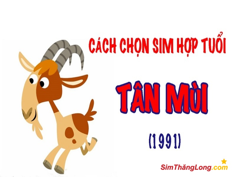 Sở hữu sim hợp tuổi 1991 giúp chủ sở hữu gặp nhiều may mắn