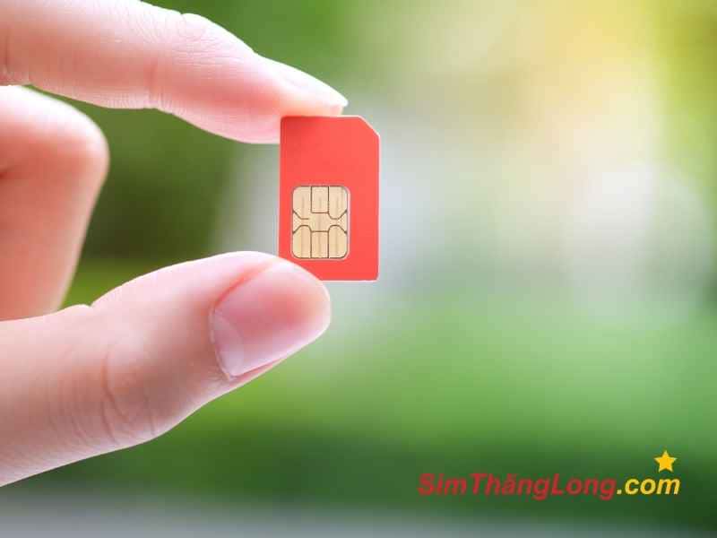 Sim Thăng Long là địa chỉ chuyên phân phối các dòng sim cao cấp và uy tín trên thị trường 