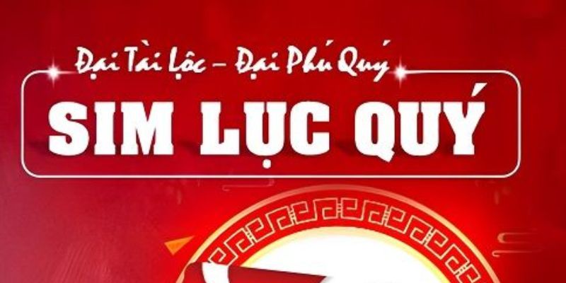 Sim lục quý là gì?