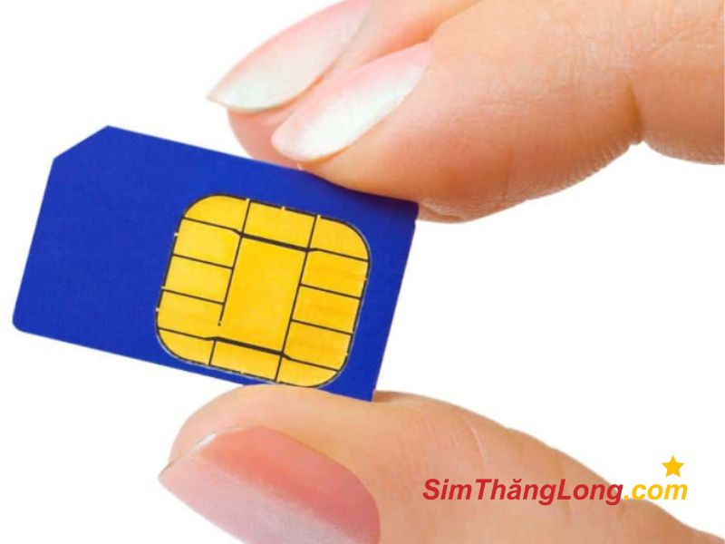Sim năm sinh 1991 có 3 dạng chính