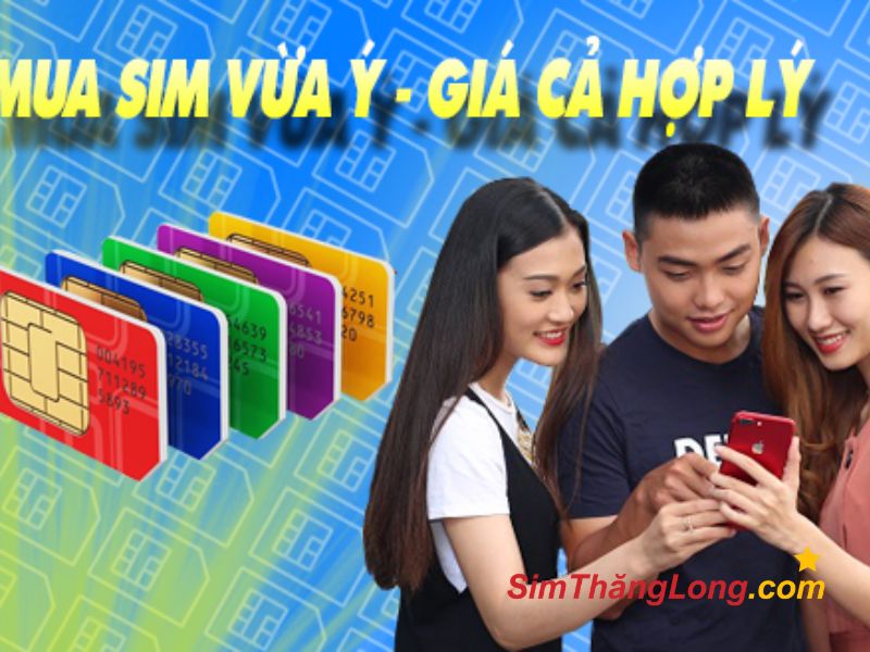 SimThangLong.com - Đơn vị cung cấp sim năm sinh 1991 số lượng khủng với giá cả hợp lý