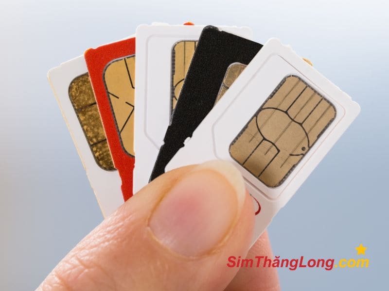 Sim Thăng Long cam kết mang đến các loại sim năm sinh chính hãng