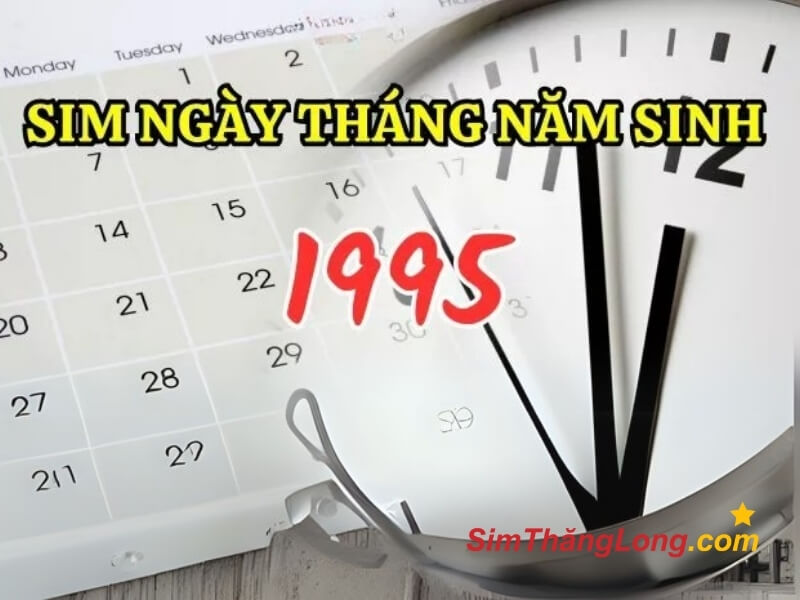 Sinh chứa ngày, tháng, năm sinh 1995 dễ nhớ và ấn tượng 