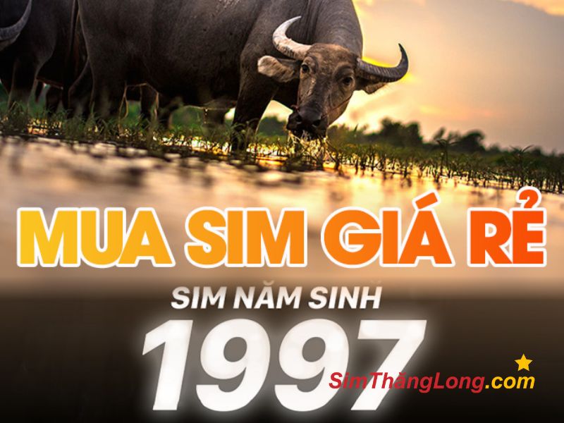 Mua sim năm sinh 1997 giá rẻ tại Sim Thăng Long