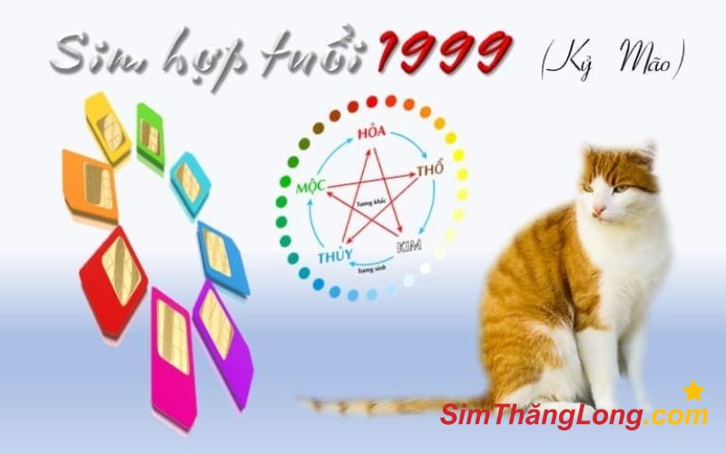 Sim năm 1999 đang dần trở thành xu hướng lựa chọn cho nhiều người