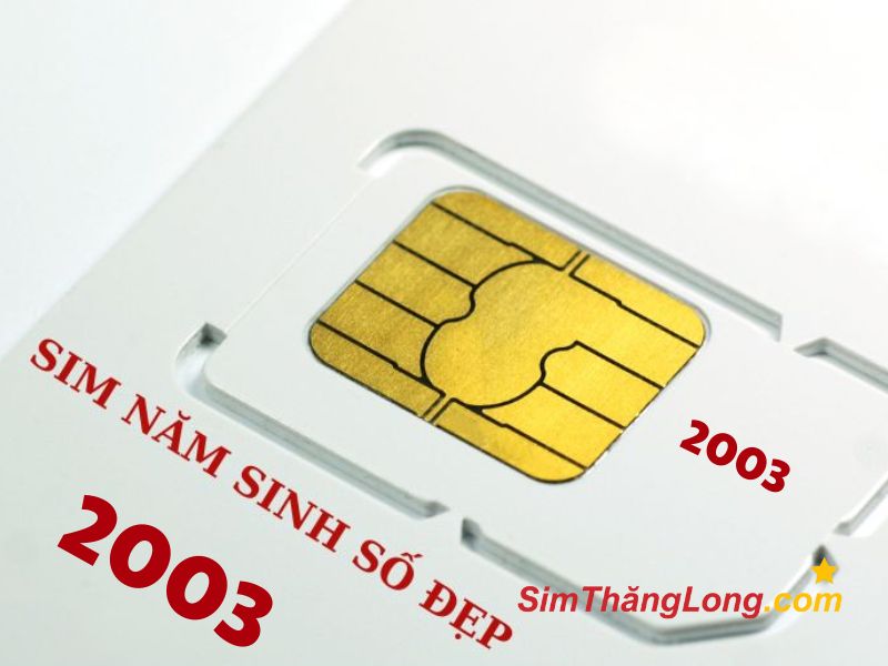 Bạn có thể chọn cho mình một sim năm sinh 2003 phù hợp với nhiều mức giá khác nhau