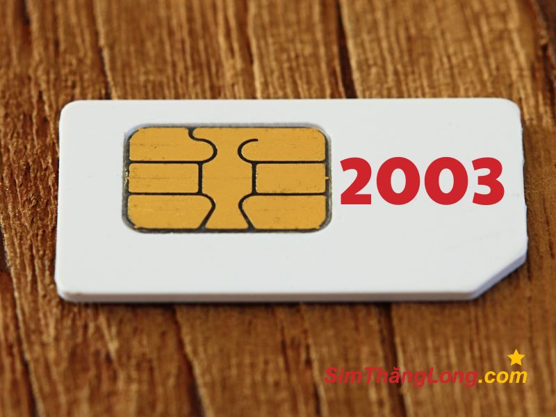 Sim Thăng Long cung cấp vô vàn các loại sim năm sinh 2003