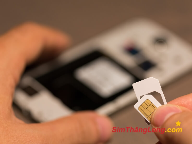Sim Thăng Long là đơn vị phân phối sim số đẹp, sim năm sinh 2004 giá rẻ, uy tín trên toàn quốc