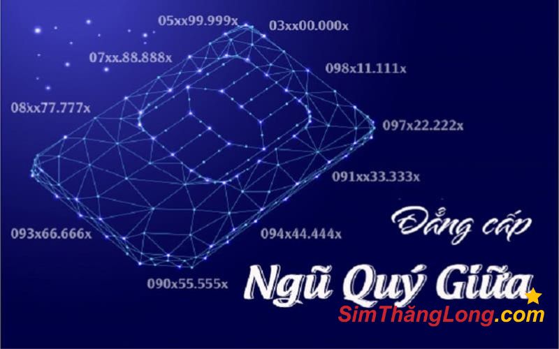 Sim Thăng Long cung cấp sim ngũ quý giữa của tất cả nhà mạng