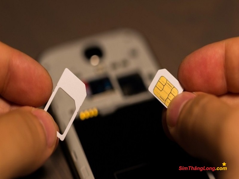Sim hợp mệnh Kim nên chọn theo phương pháp du niên