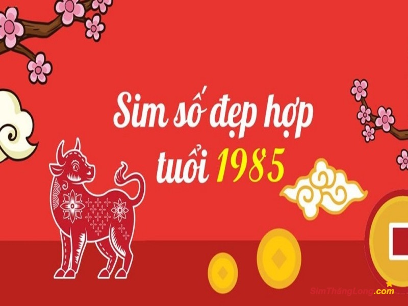 Chọn sim hợp tuổi 1985 có nhiều sao tốt theo du niên