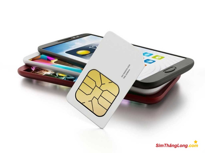 Chọn sim hợp tuổi 1985 theo ngũ hành tứ trụ đơn giản